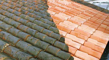 Spécialiste du nettoyage et entretien votre toit du 95
